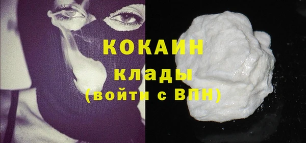 индика Нефтегорск