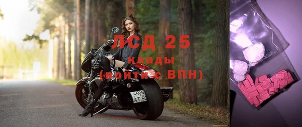гашик Нея