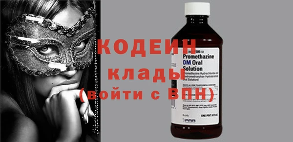 гашик Нея
