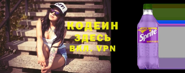 гашик Нея