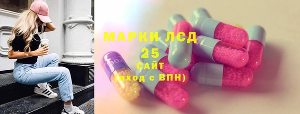 индика Нефтегорск