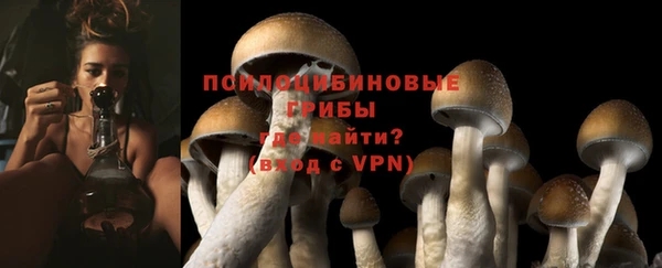 мдпв Бабаево