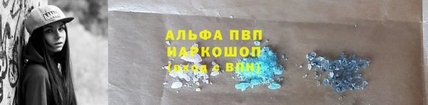 гашик Нея