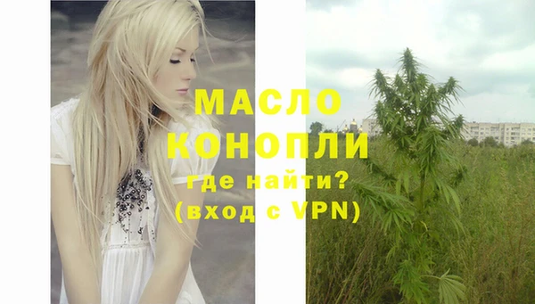 индика Нефтегорск