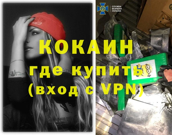 гашик Нея